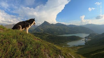 20240812_202132_298.jpg | © Tourismusverband Paznaun - Ischgl