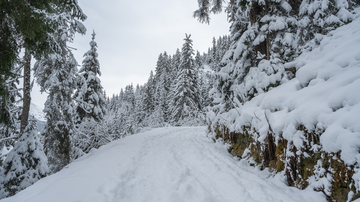 Winterwanderweg Rotweg | © Bernhard Gruber Photography