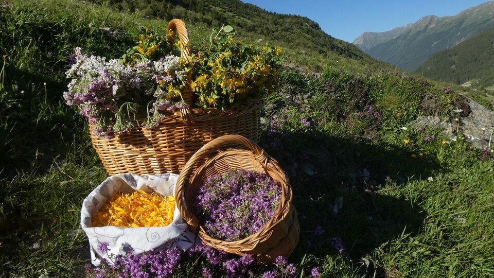 A basket with colorful flowers is standing on a meadow in the mountains. Around it are more small baskets with bright blossoms and leaves.