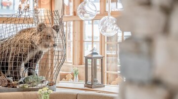 A bear in a cage stands in a bright room with large windows. In the foreground, decorative elements such as a lantern and plants are visible.