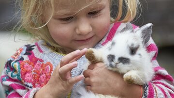 The image shows a small blonde child carefully holding a white-gray spotted rabbit in their arms. The child's gaze is calm and focused on the animal, while one hand gently touches its fur. The rabbit looks a bit ruffled and attentive, with erect ears and dark spots on its face.

The scene conveys closeness, tenderness, and childlike curiosity. The blurry background puts the focus entirely on the loving moment between the child and the animal.