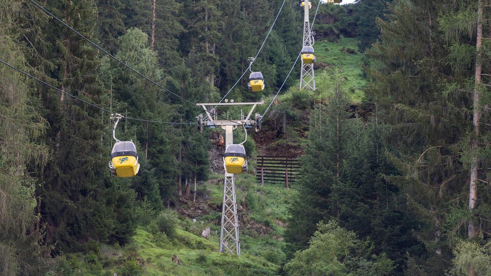 A cable car travels through a dense forest. The gondolas are yellow and suspended on steel cables.
