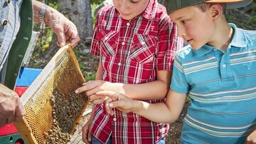 Two boys curiously observe a honeycomb. They are in a natural setting and are laughing while learning something about bees.