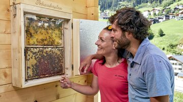 A couple looks fascinated at a bee game in a box. In the background, green hills and a village can be seen.