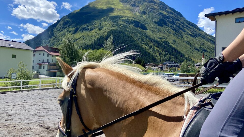 A rider sits on a horse with a beautiful mountain in the background. The sky is clear and sunny.