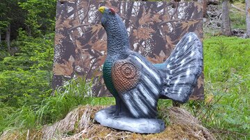A colorful statue of a capercaillie stands on a green ground. In the background, a camouflage-like panel can be seen, surrounded by trees.