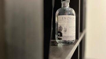 Enzner_Detail
