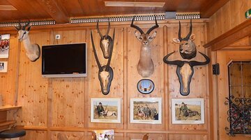 A rustic wall in a wooden room with various taxidermy animals and pictures. There is a television and a table in the foreground.