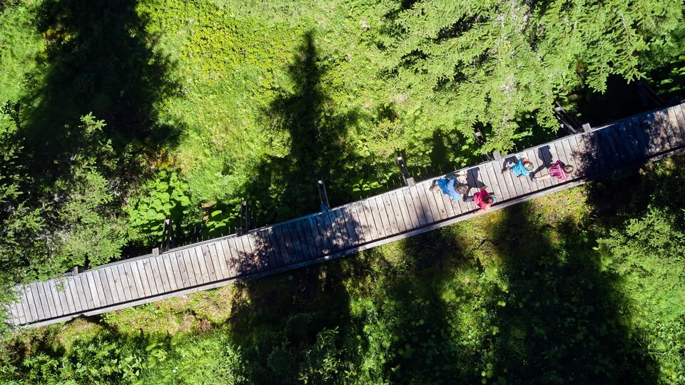 A wooden walkway runs through a green landscape. In the background, the shadows of trees can be seen, while some people relax on the walkway.