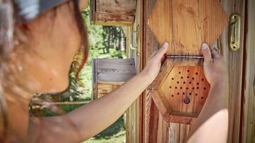 A person opens a wooden-colored insect hotel. In the background, trees and nature are visible.
