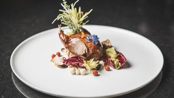 An artistically arranged plate with roasted poultry, surrounded by fresh herbs and colorful vegetables. The presentation is elegant and appealing.