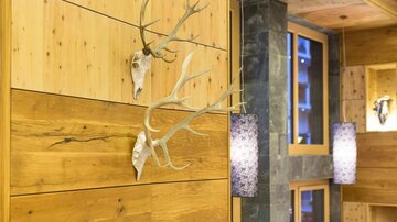 A rustic interior with wooden paneling and a deer antler on the wall. In the background, modern lighting elements can be seen.