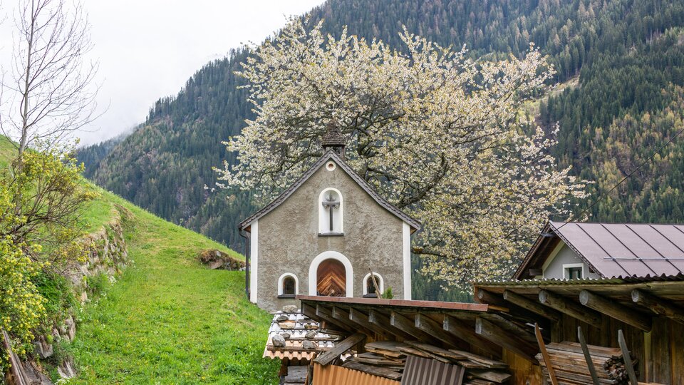 A small church with a blooming tree nearby. In the background, green meadows and mountains are visible. | © Bernhard Gruber – Photography