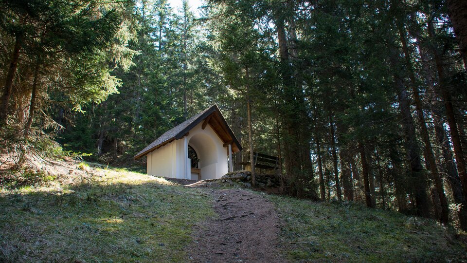 A small cabin stands on a hill among tall trees. The path to it is easy to recognize and leads through the forest. | © ©Bernhard Gruber – Photography