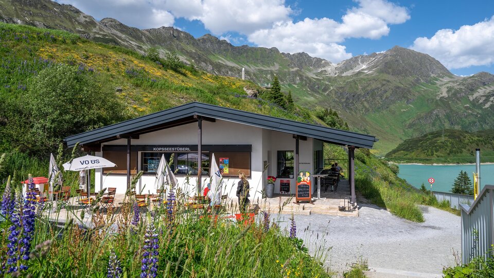A modern building at the foot of the mountains, surrounded by green meadows and colorful flowers. In the background, majestic mountains and a clear blue sky can be seen.