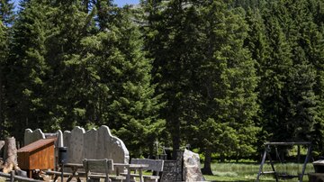 A beautiful playground surrounded by tall fir trees. The sky is clear and blue.