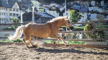 A blond horse is running fast in a riding stable. In the background, there are houses and a beautiful mountain visible.