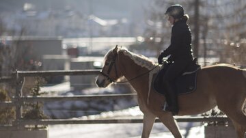 A person is riding a horse in a sunny environment. Mountains and trees are visible in the background.