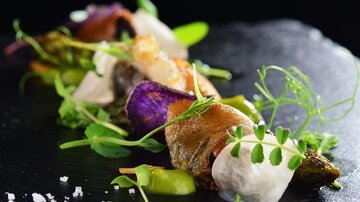 A beautifully arranged dish on a black plate. It contains various types of vegetables and fresh herbs.