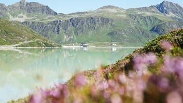 A tranquil mountain landscape with a clear lake and gentle hills in the background. Colorful flowers line the foreground, adding a vibrant touch to the image.